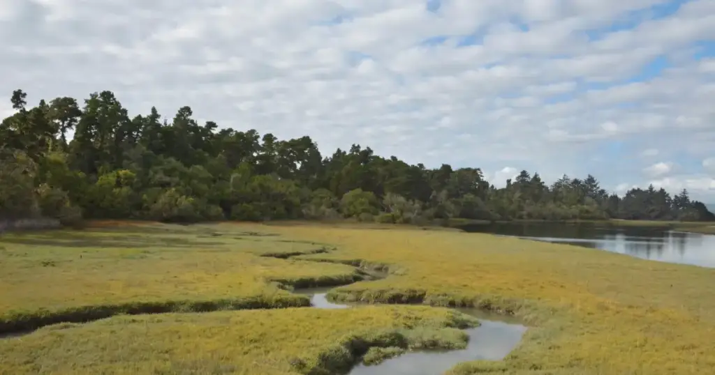 Humboldt Bay National Wildlife Refuge, Loleta, CA