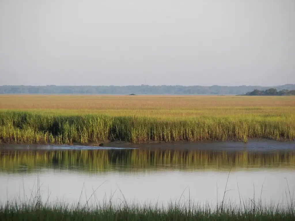 Hunting Island State Park, Beaufort, SC