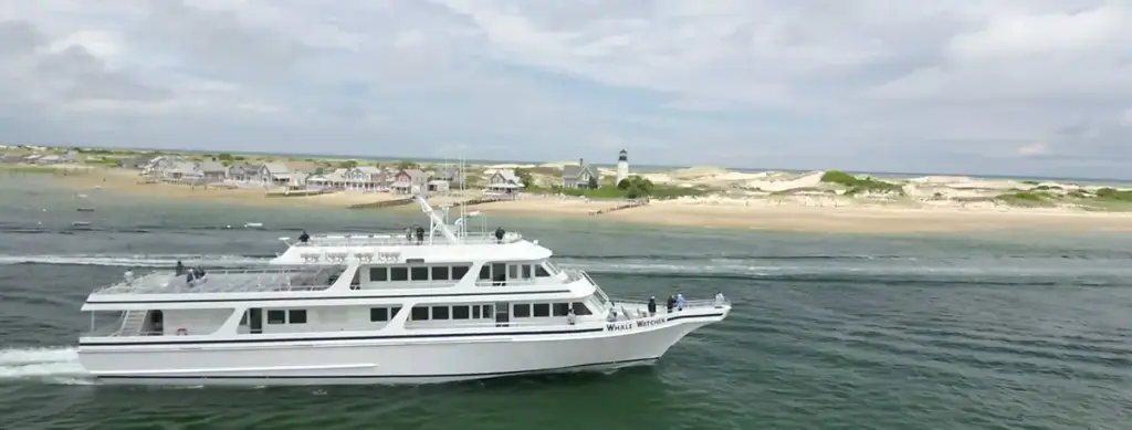 Hyannis Whale Watcher Cruises, Barnstable, MA