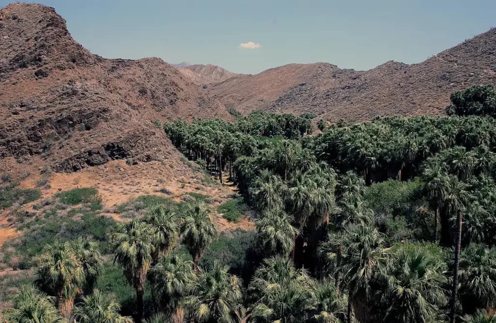 Greater Palm Springs