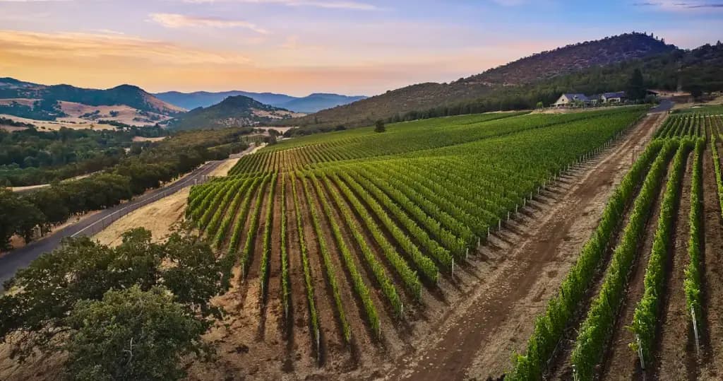 Irvine & Roberts Vineyards, Ashland, OR