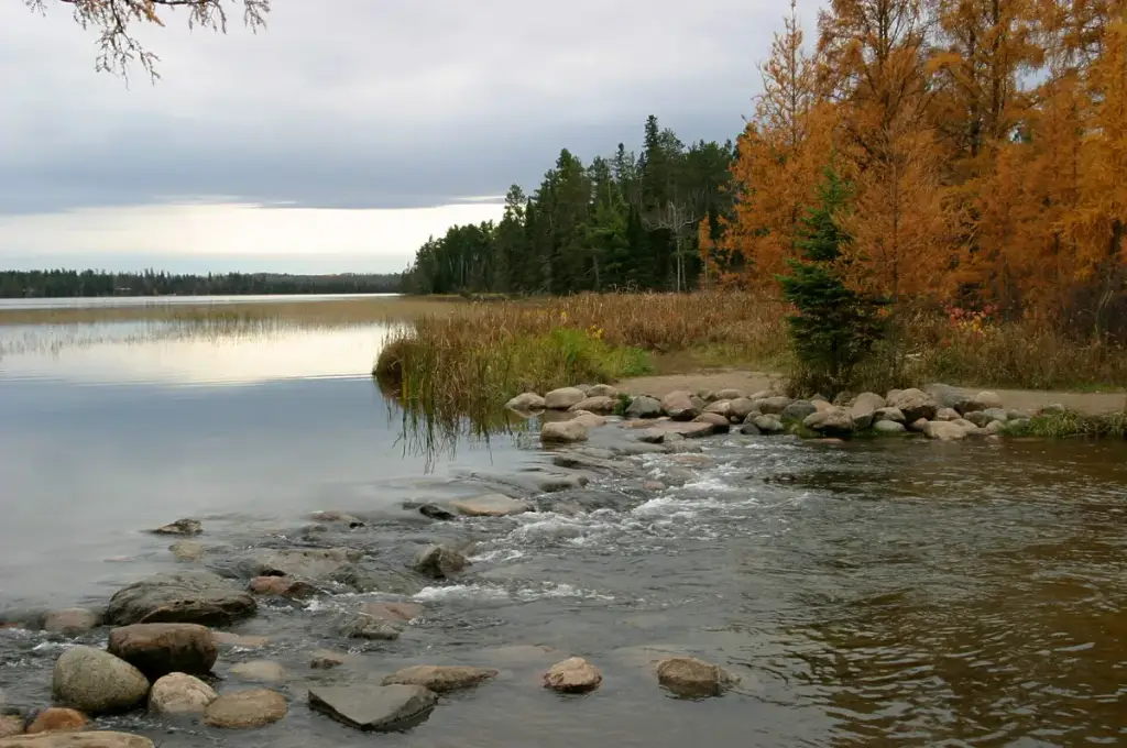 Itasca State Park, Park Rapids, MN