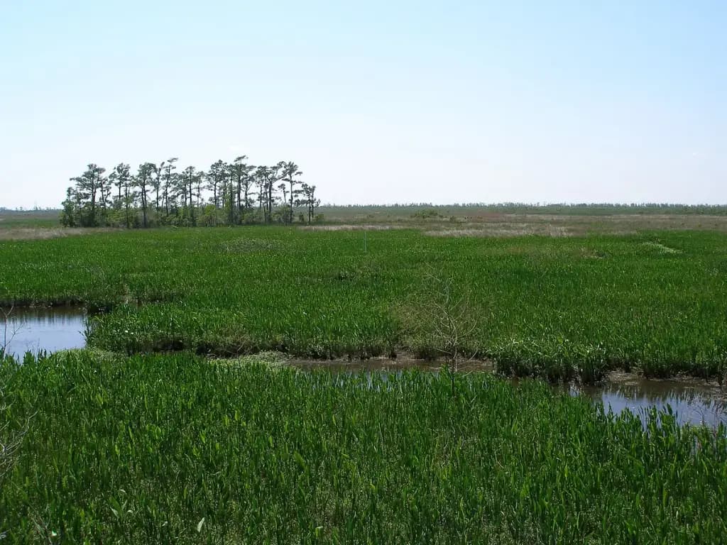 Jean Lafitte National Historical Park and Preserve, Marrero, LA
