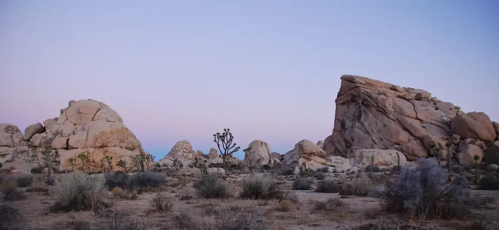Joshua Tree National Park, Twentynine Palms, CA