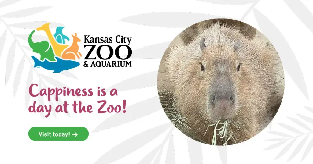 Kansas City Zoo & Aquarium, Kansas City, MO