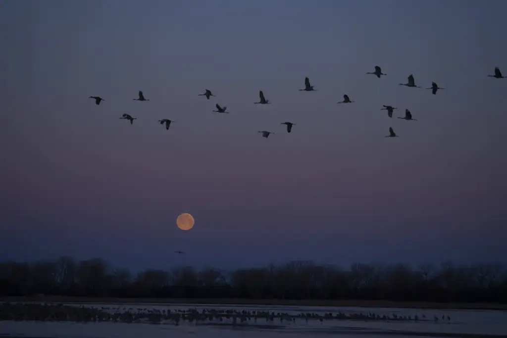 Kearney, Kearney, NE