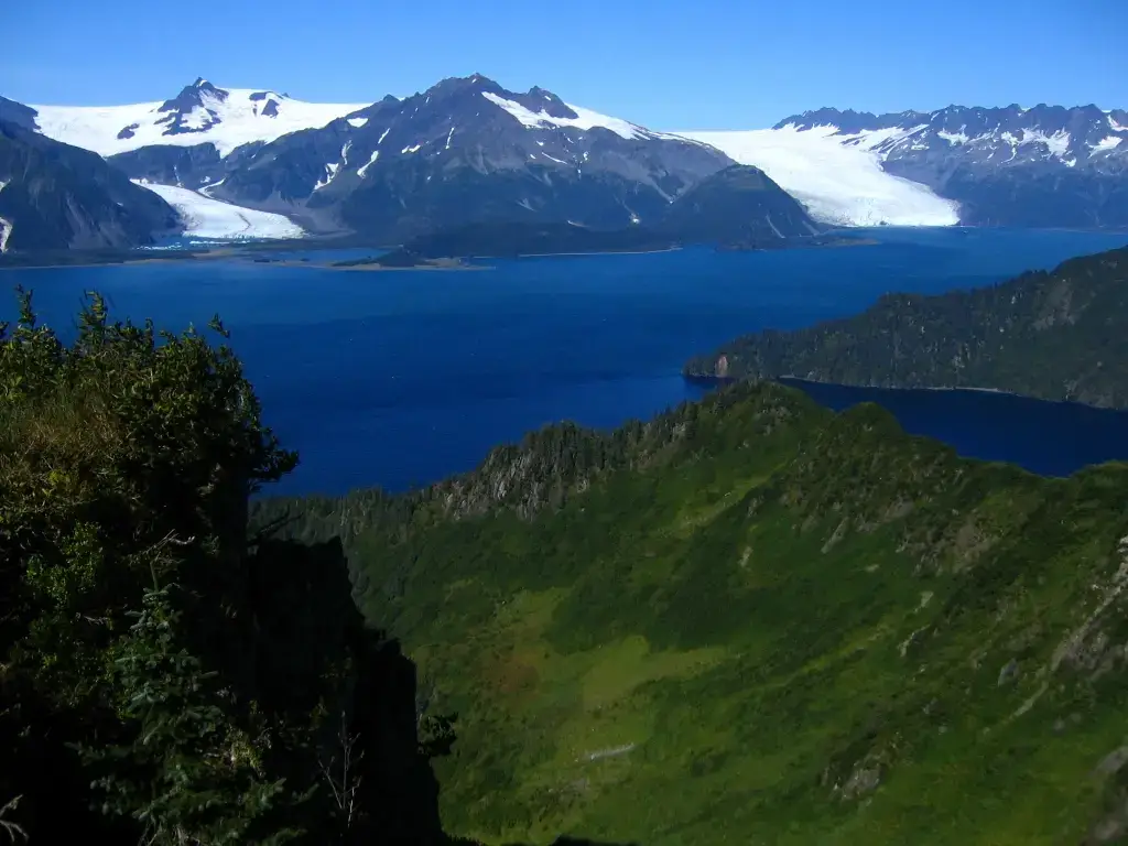 Kenai Fjords National Park, Seward, AK