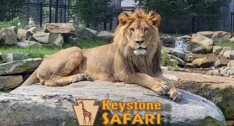 Keystone Safari, Grove City, PA