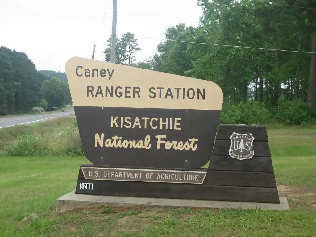 Kisatchie National Forest, Natchitoches, LA