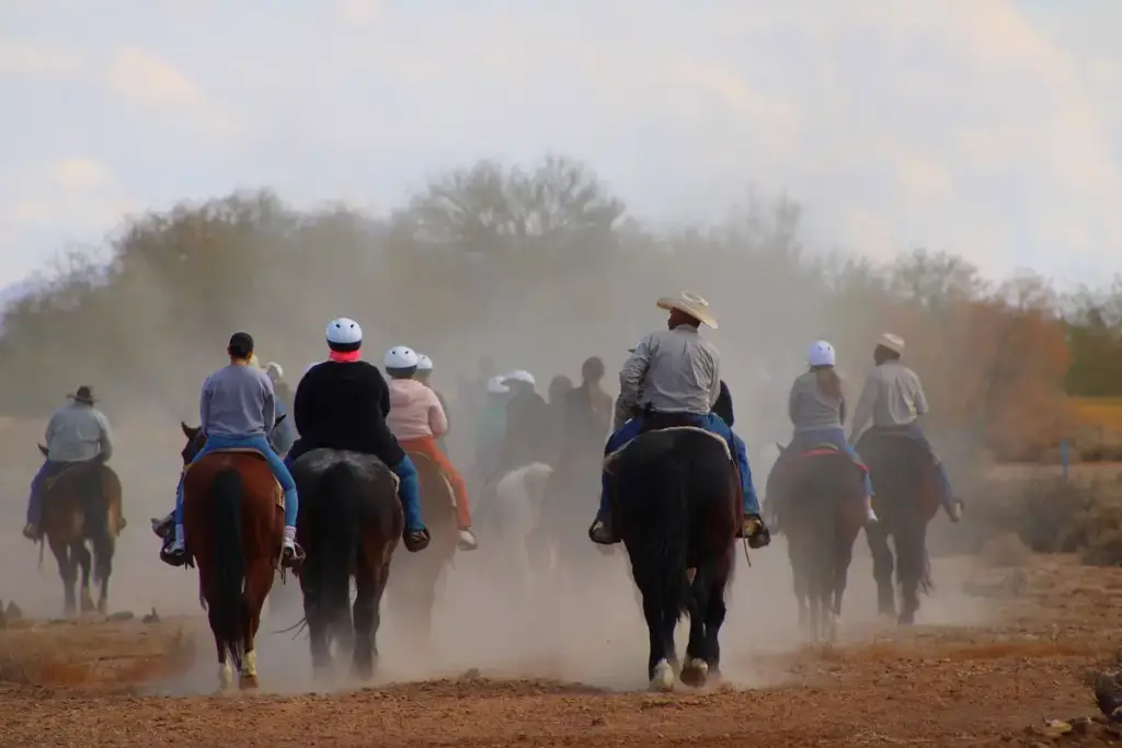 Koli Equestrian Center, Chandler, AZ