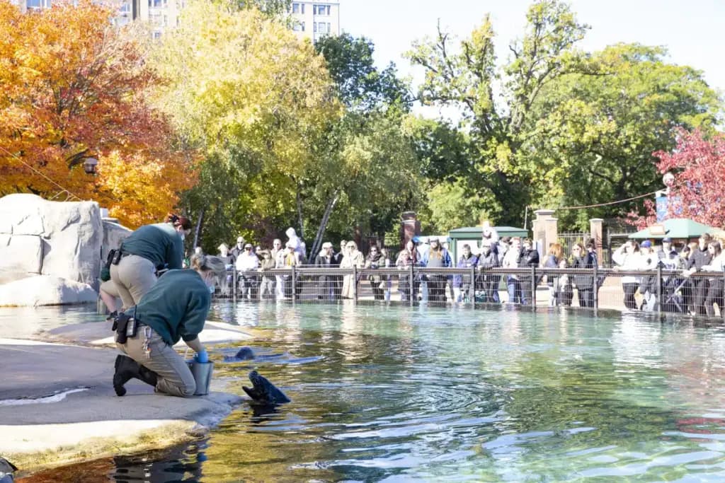 Lincoln Park Zoo, Chicago, IL
