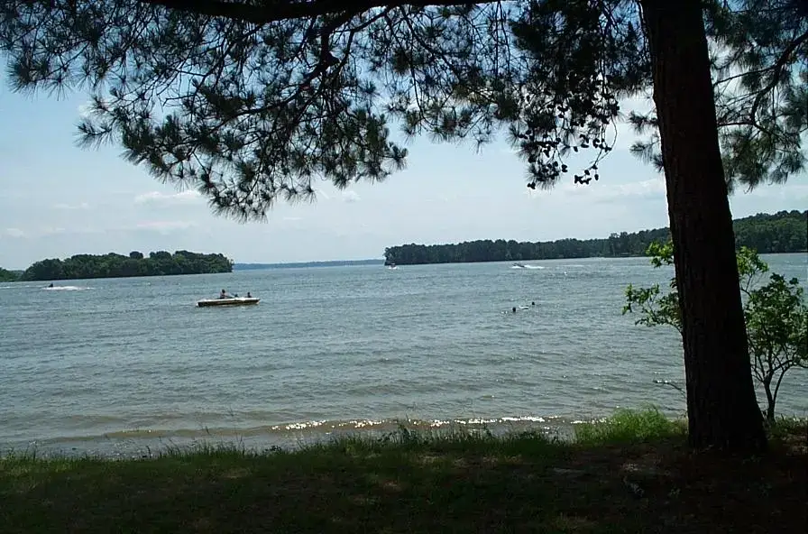 Livingston, Livingston, TX