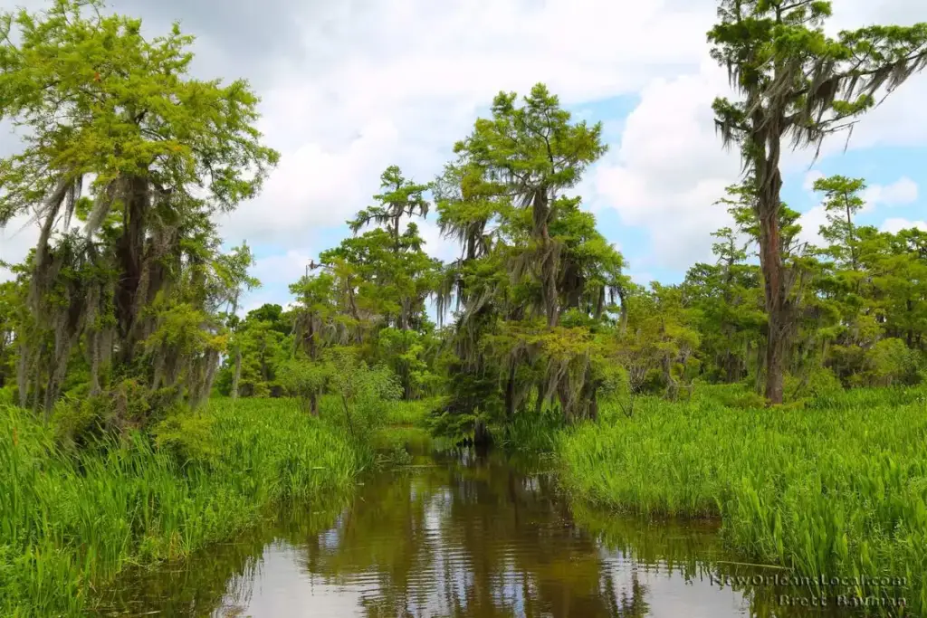Louisiana Tour Company, Marrero, LA