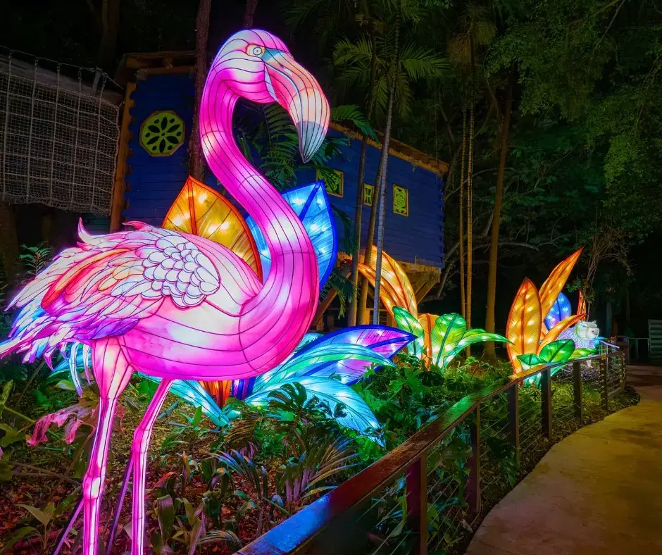 Luminosa at Jungle Island, Miami, FL