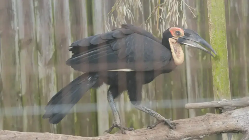 Magnolia Wilds, Ethel, LA