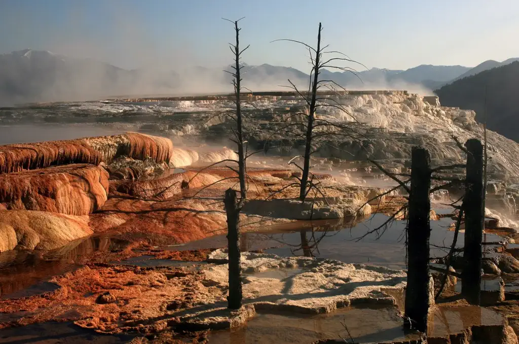 Mammoth Hot Springs, Mammoth, WY
