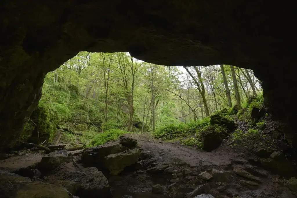 Maquoketa Caves State Park, Maquoketa, IA