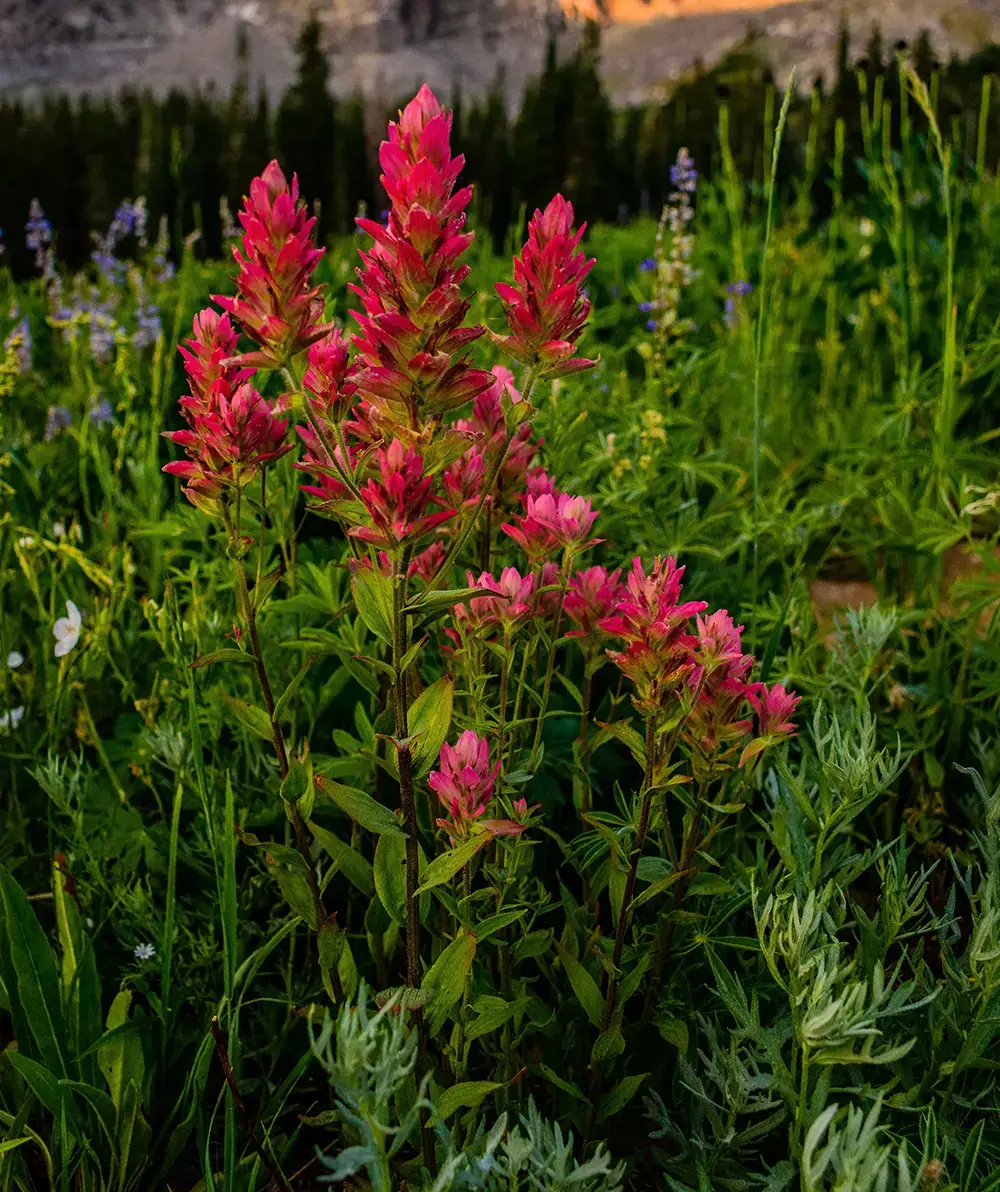 Martin's Gorge Tours, Stevenson, WA
