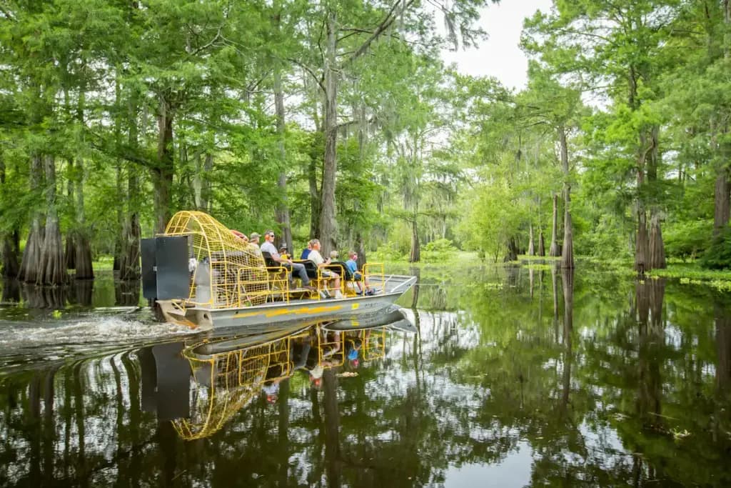McGee's Swamp Tours, Breaux Bridge, LA