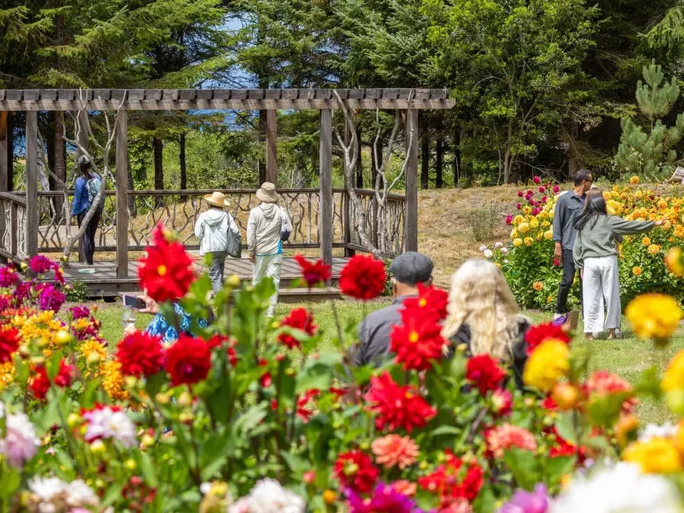Mendocino Coast Botanical Gardens, Fort Bragg, CA