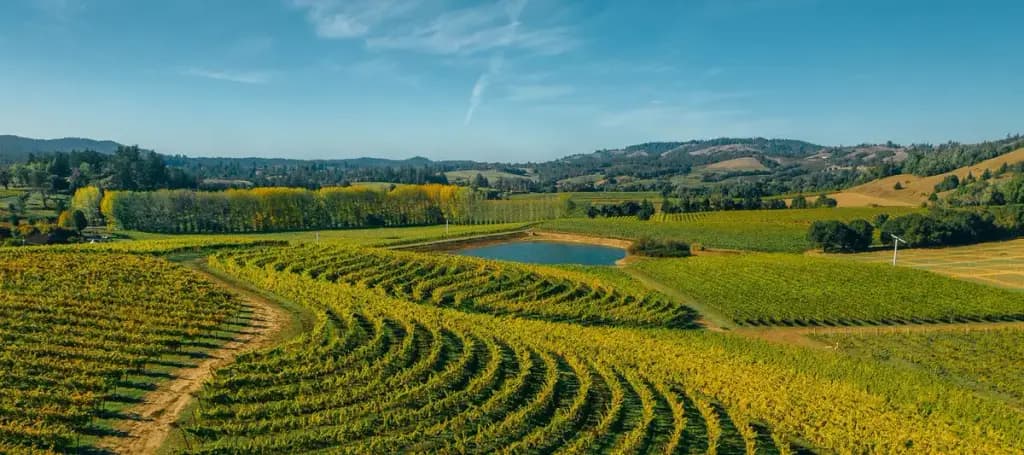 Mendocino County Tourism Commission, Ukiah, CA