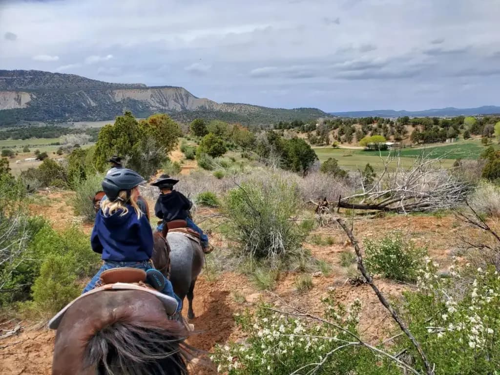 Mesa Verde Stables, Mancos, CO