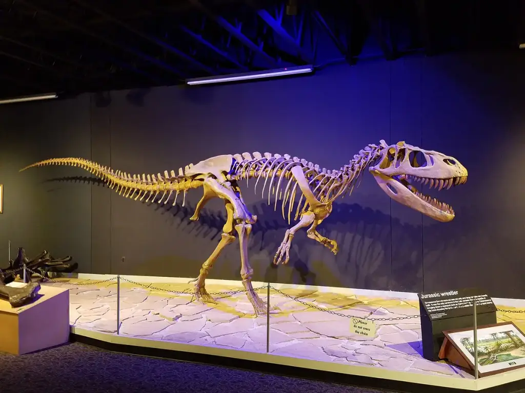 Mesalands Dinosaur Museum, Tucumcari, NM