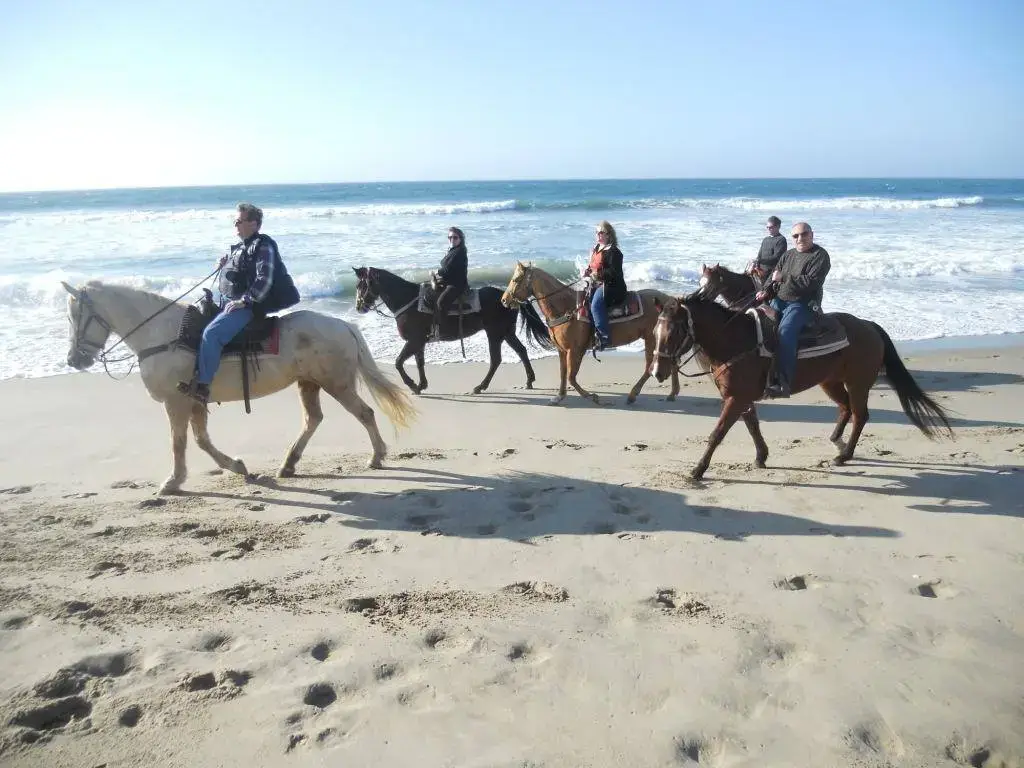 Monterey Bay Equestrian Center, Marina, CA