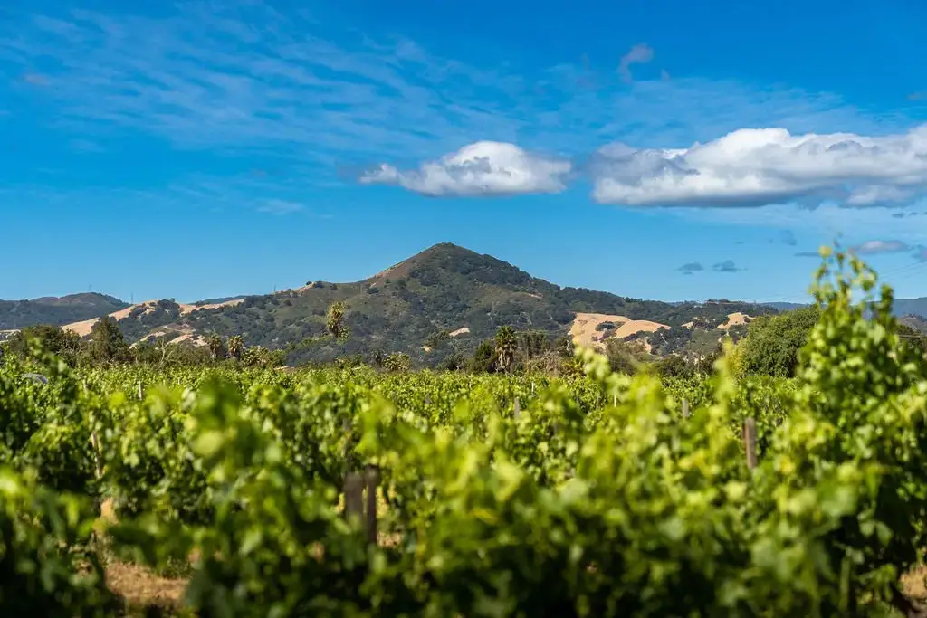 Morgan Hill, Morgan Hill, CA