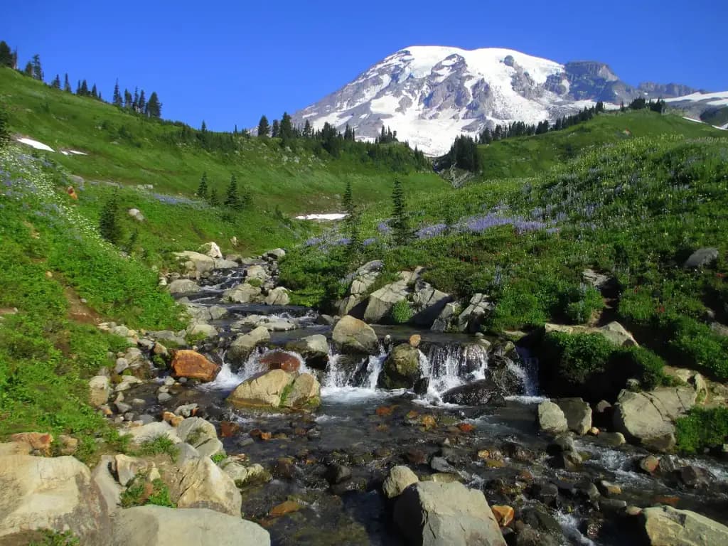 Mount Rainier National Park, Ashford, WA