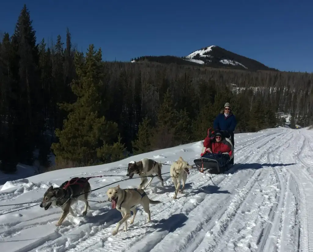 Mountain Paws Dog Sledding, Pagosa Springs, CO