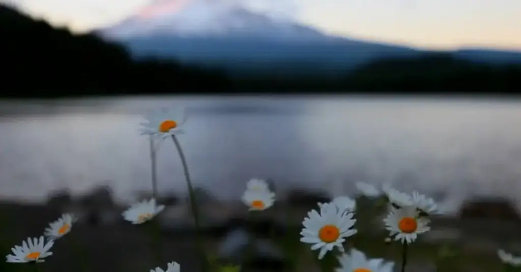 Mt. Hood Territory, Clackamas County, OR