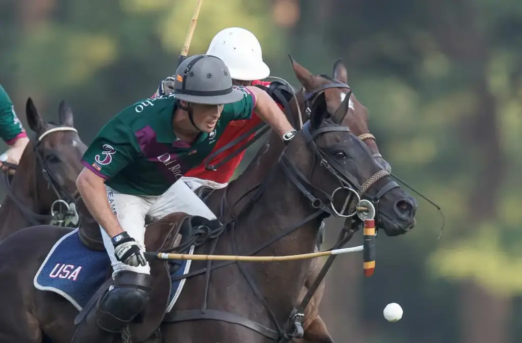 Myopia Polo Club, South Hamilton, MA