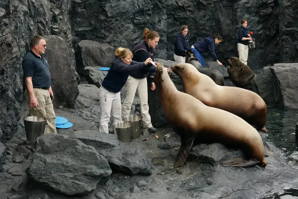 Mystic Aquarium, Mystic, CT