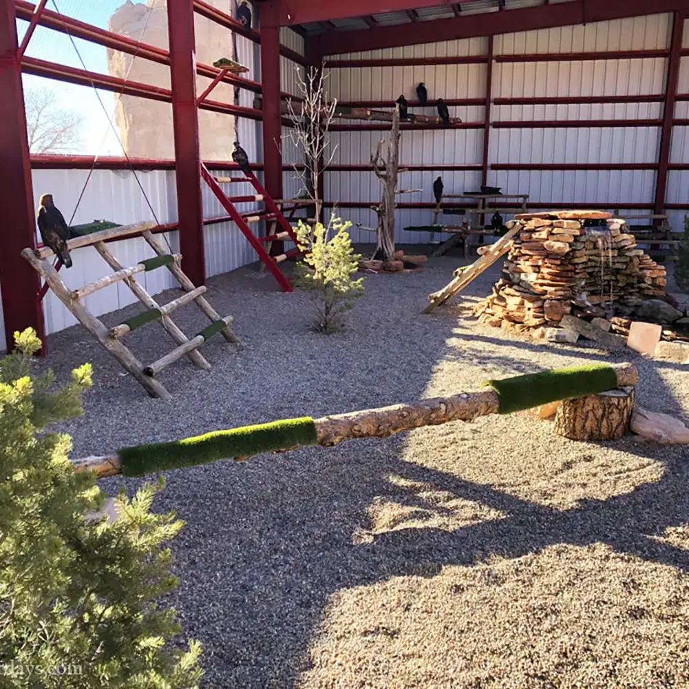 Navajo Zoo, Window Rock, AZ
