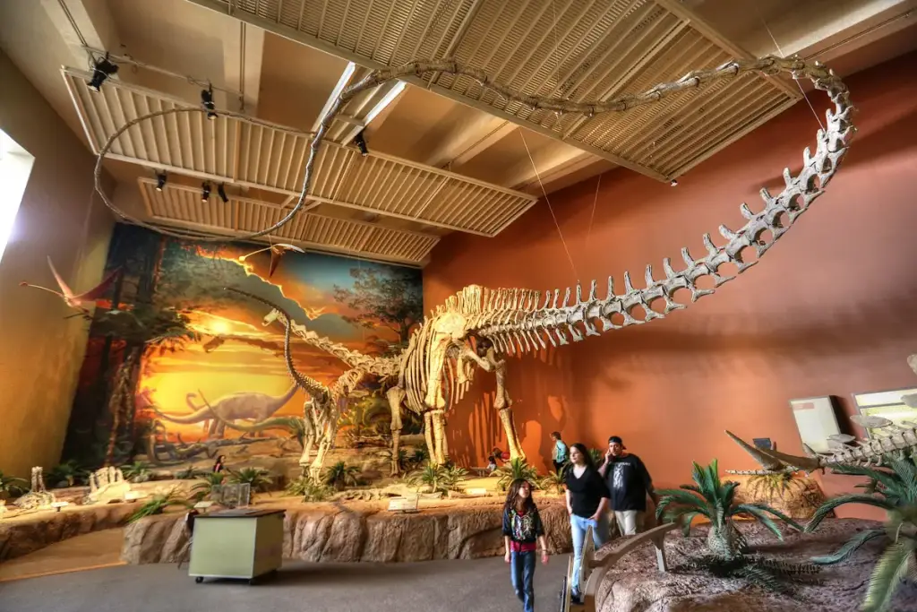 New Mexico Museum of Natural History and Science, Albuquerque, NM