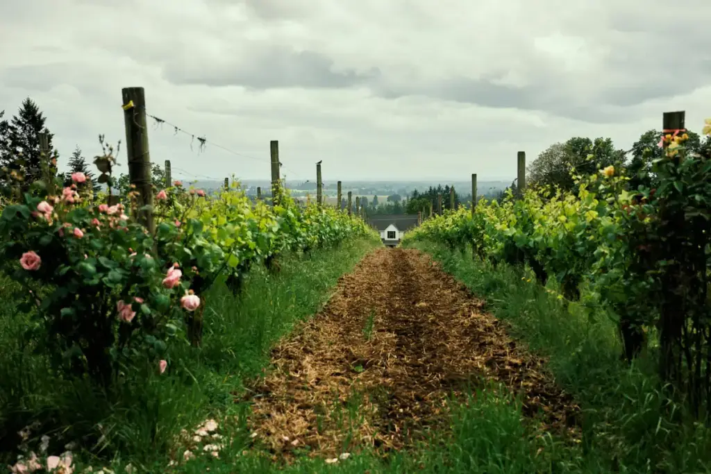 Newberg, Newberg, OR