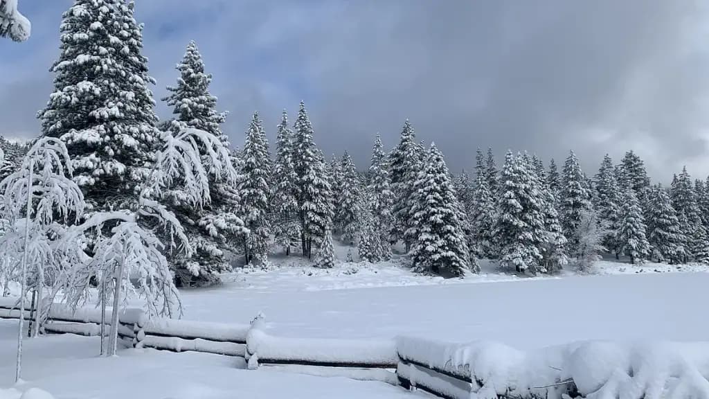 North Tahoe Regional Park, Tahoe Vista, CA