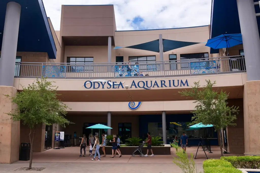 OdySea Aquarium, Scottsdale, AZ