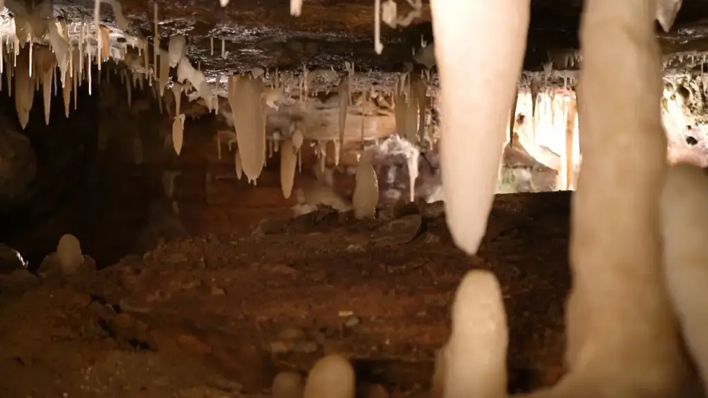 Ohio Caverns, West Liberty, OH