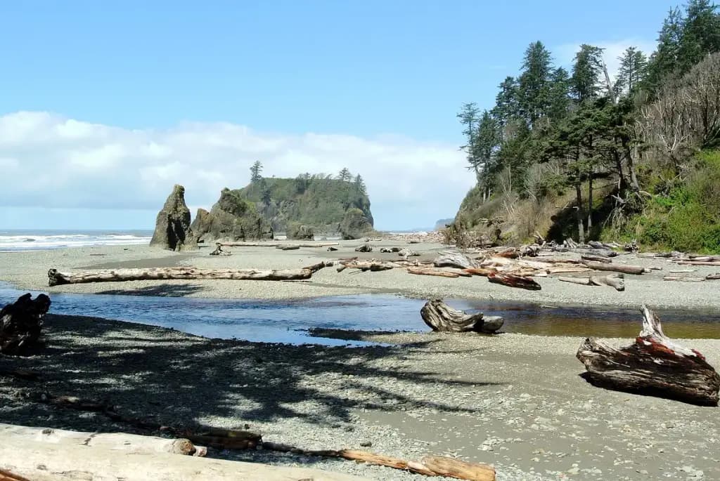 Olympic National Park, Port Angeles, WA
