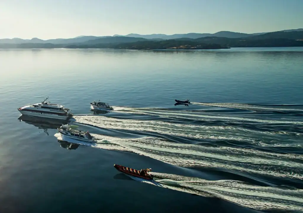 Orca Spirit Adventures, Victoria, BC