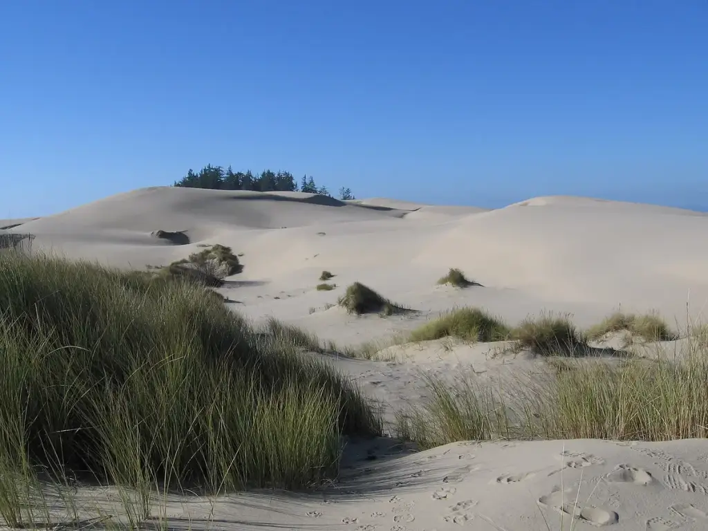 Oregon Dunes National Recreation Area, Reedsport, OR