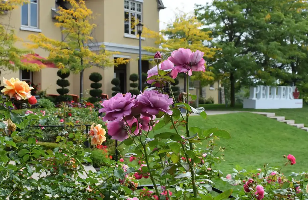 Peller Estates Winery, Niagara-on-the-Lake, ON