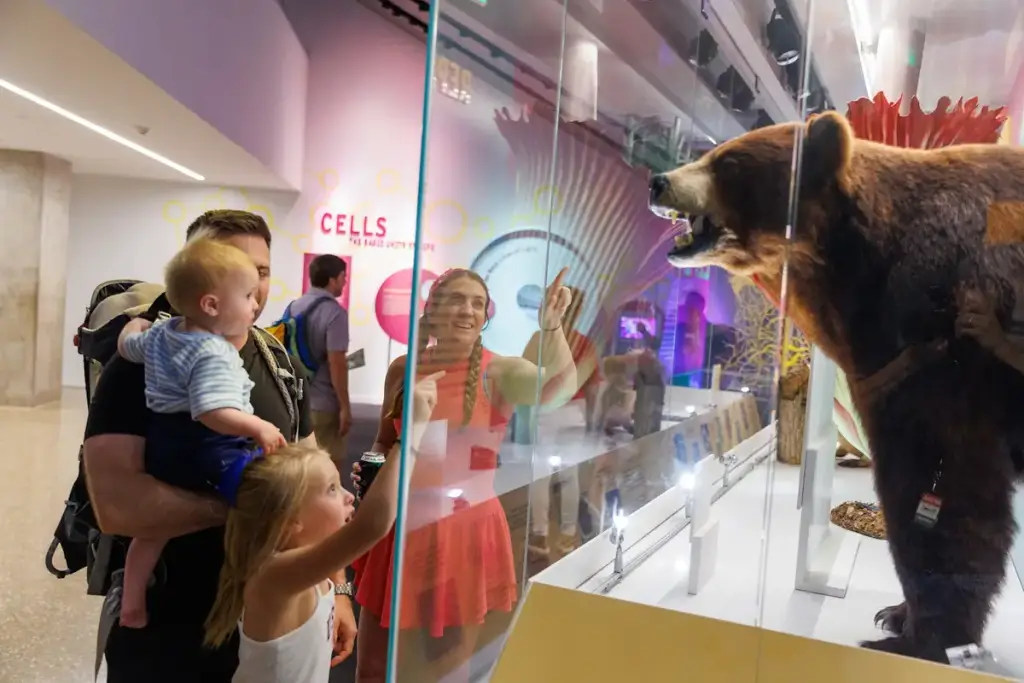 Perot Museum of Nature and Science, Dallas, TX