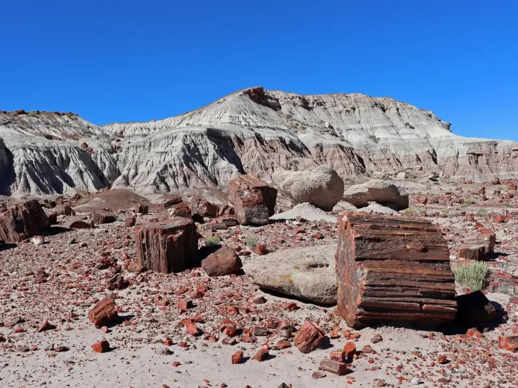 Petrified Forest National Park, Holbrook, AZ