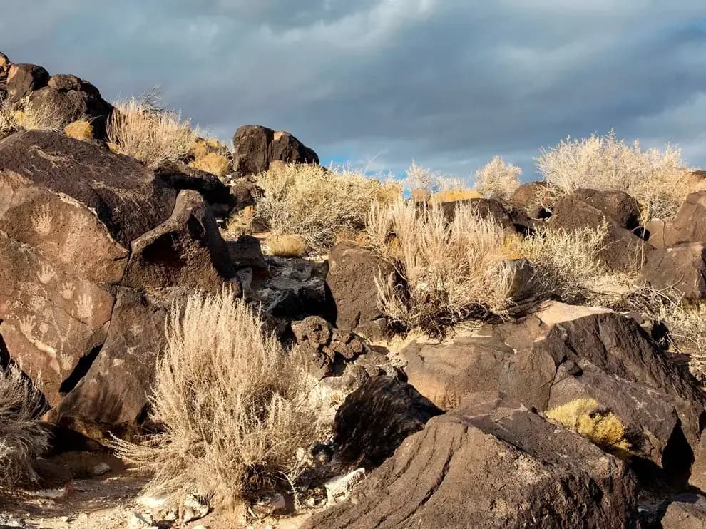 Petroglyph National Monument, Albuquerque, NM