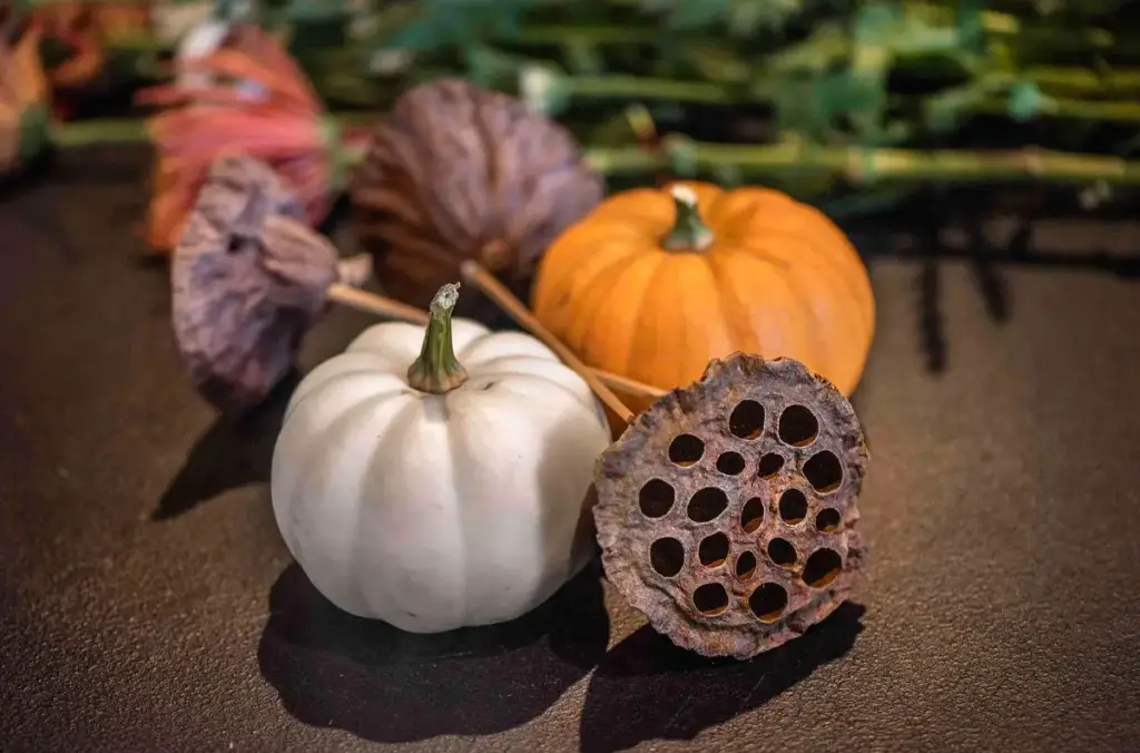 Pittsburgh Botanic Garden, Pittsburgh, PA