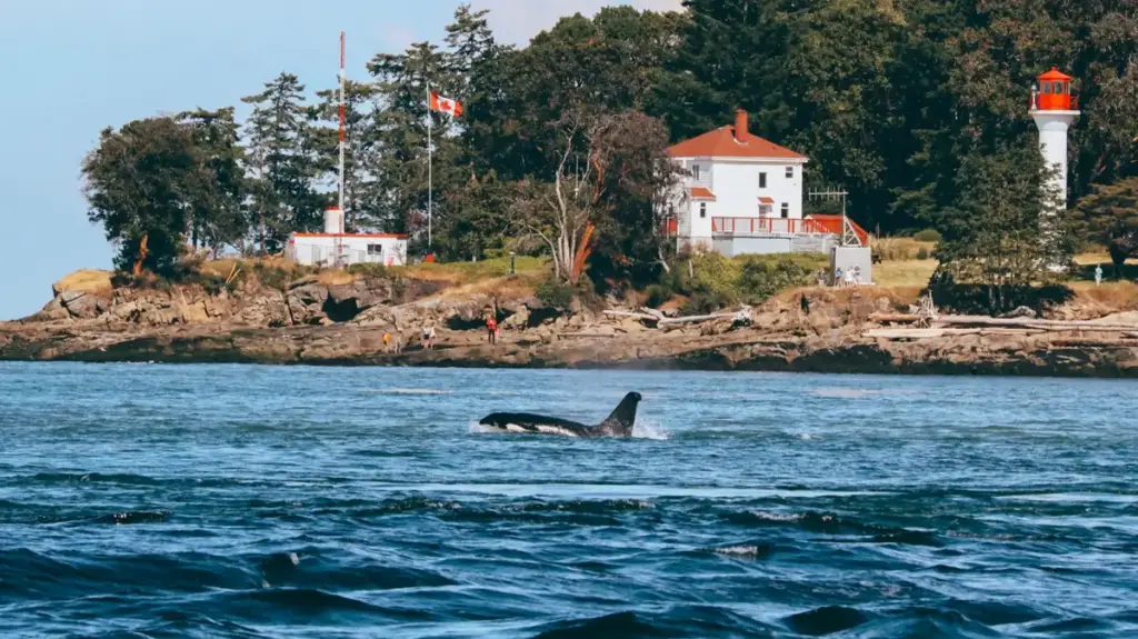 Prince of Whales, Victoria, BC