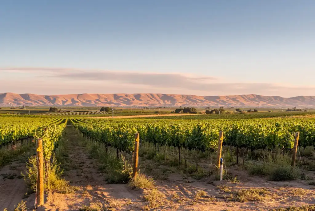 Central Washington